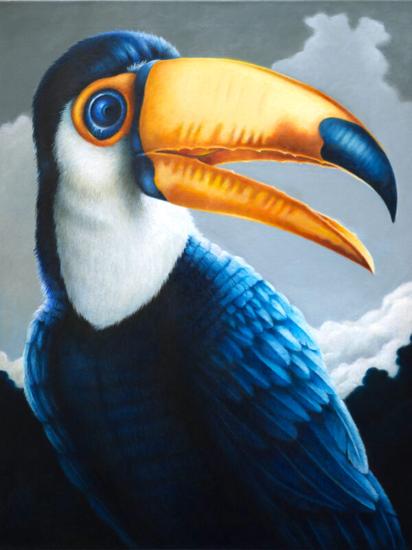 Tucan